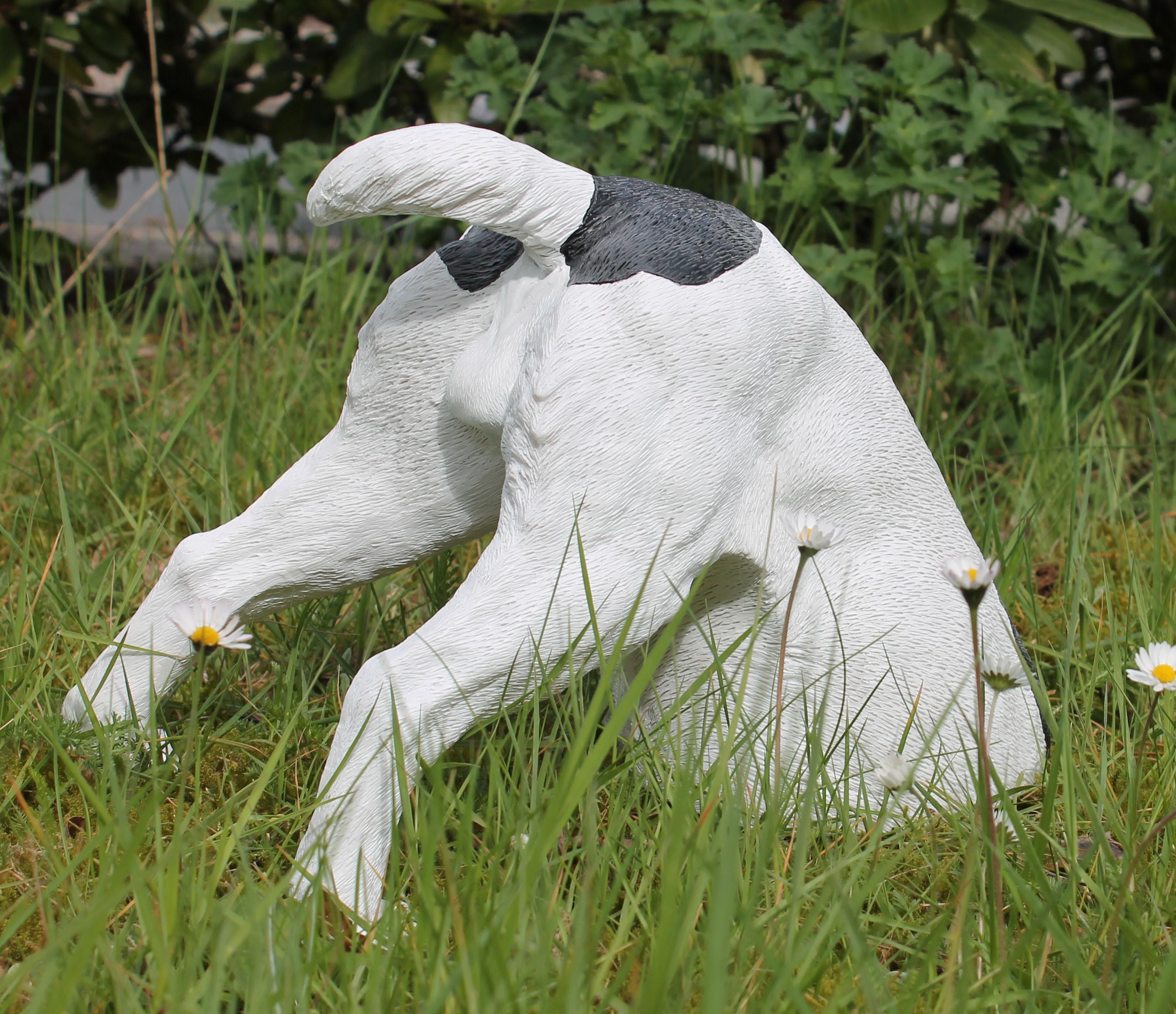 Dekofigur haber Hund grabend Jack Russell Terrier Gartendeko Hundefigur Gartenfigur