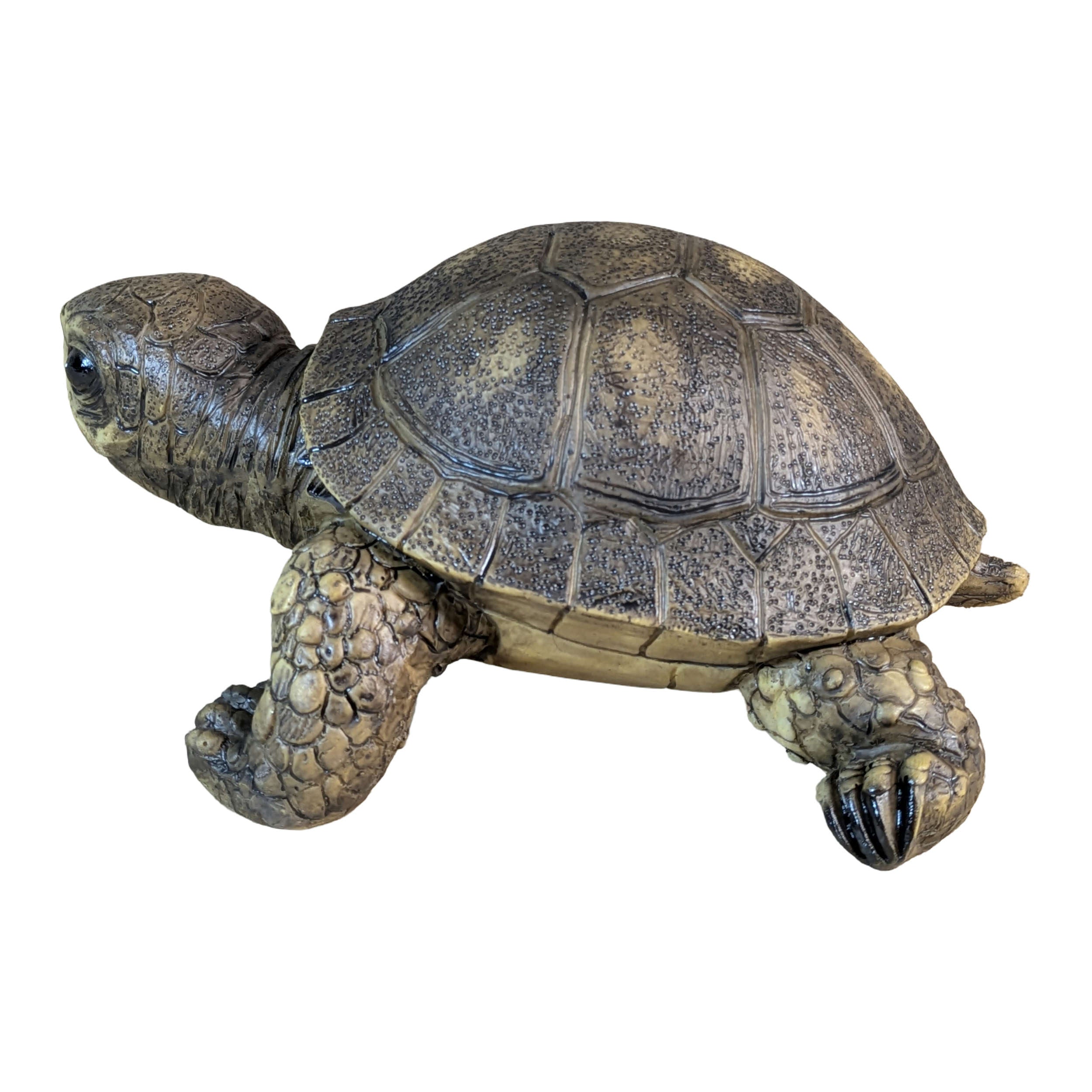 Schildkröte Figur realistisch Deko Schildkröte Garten Schildkröte Deko für Haus und Garten