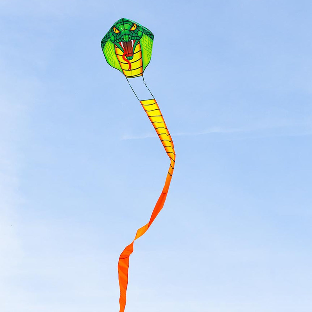 Kinderdrachen Einleiner Drachen HQ Emerald Cobra Kite Flugdrachen