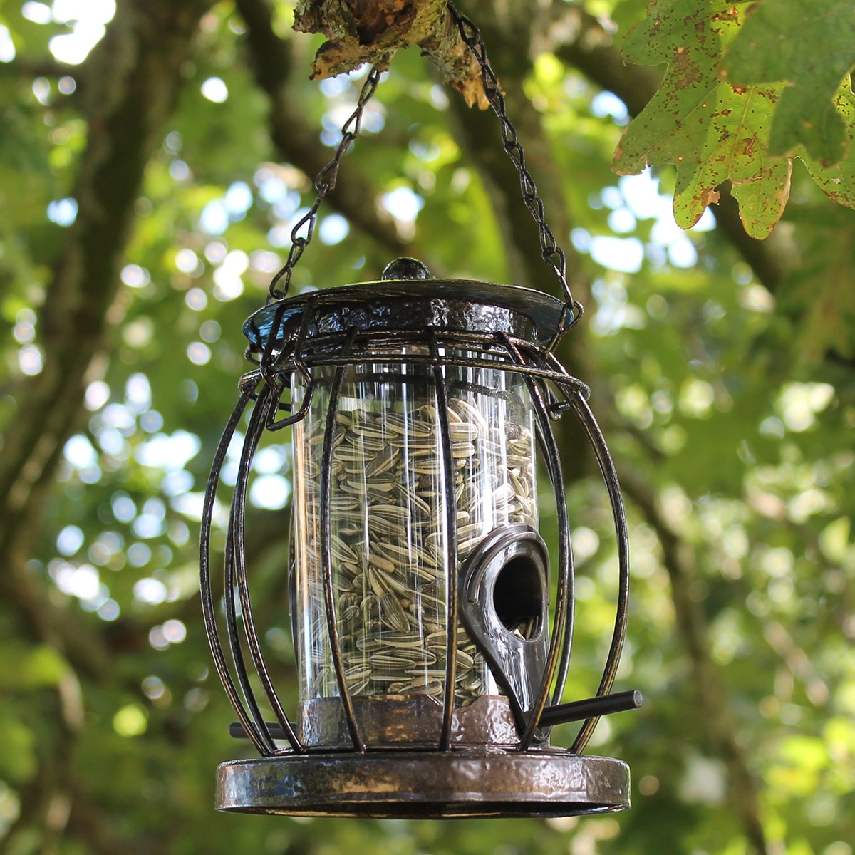 Robuste Metall-Vogelfutterstation zum hängen Futtersäule für Vögel