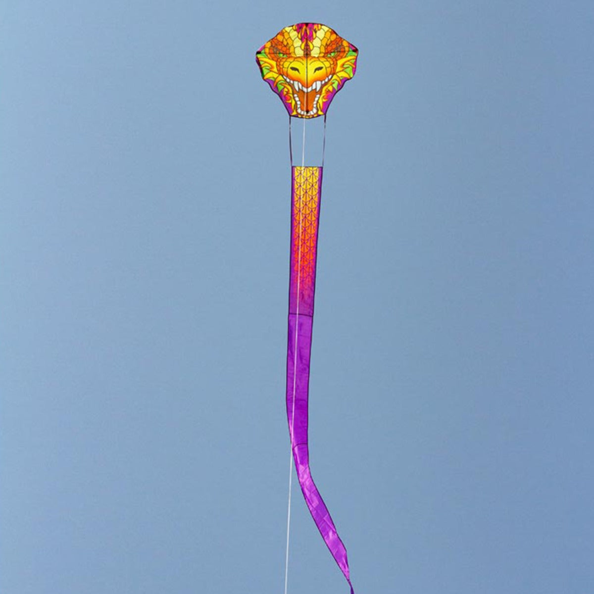 Kinderdrachen Einleiner Drachen HQ Dragonhead Kite 50 cm plus 950 cm Drachenschwanz Flugdrache