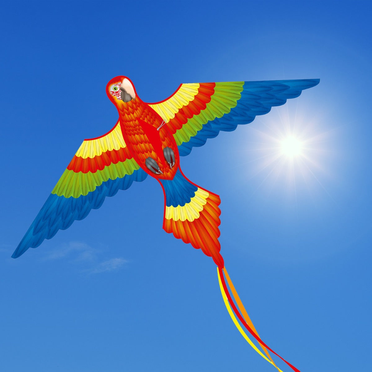 Kinderdrachen Einleiner Drachen HQ Parrot Kite 152 cm Flugdrache