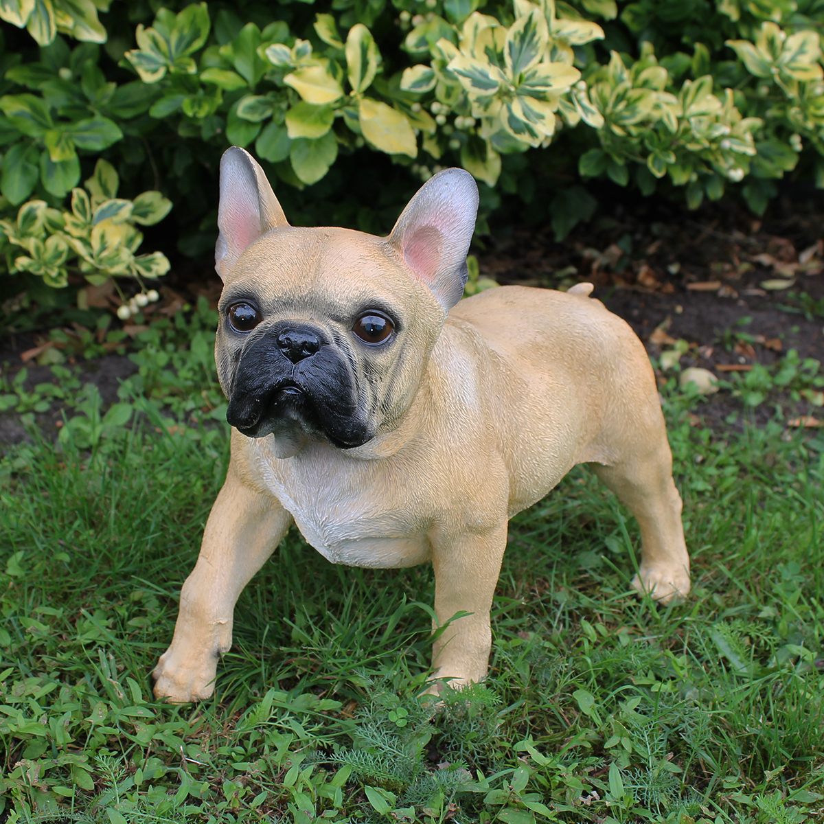 Hunde Figur Französische Bulldogge Figur stehend braun lebensechte Hundefigur