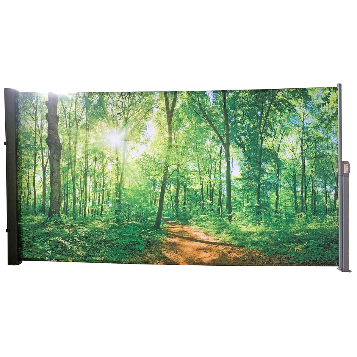 Seitenmarkise ausziehbar mit Dekor Wald 300x160 cm Sichtschutz zum Ausziehen
