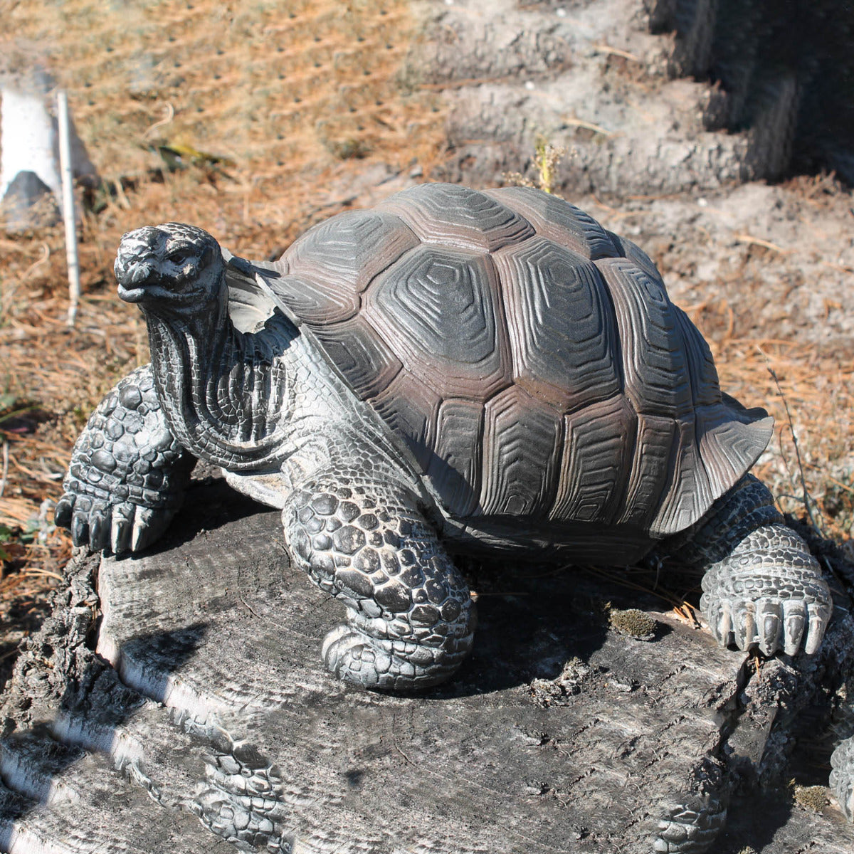 Schildkröte Tierfigur Sammy Gartenfigur Teich Dekoration Reptilien