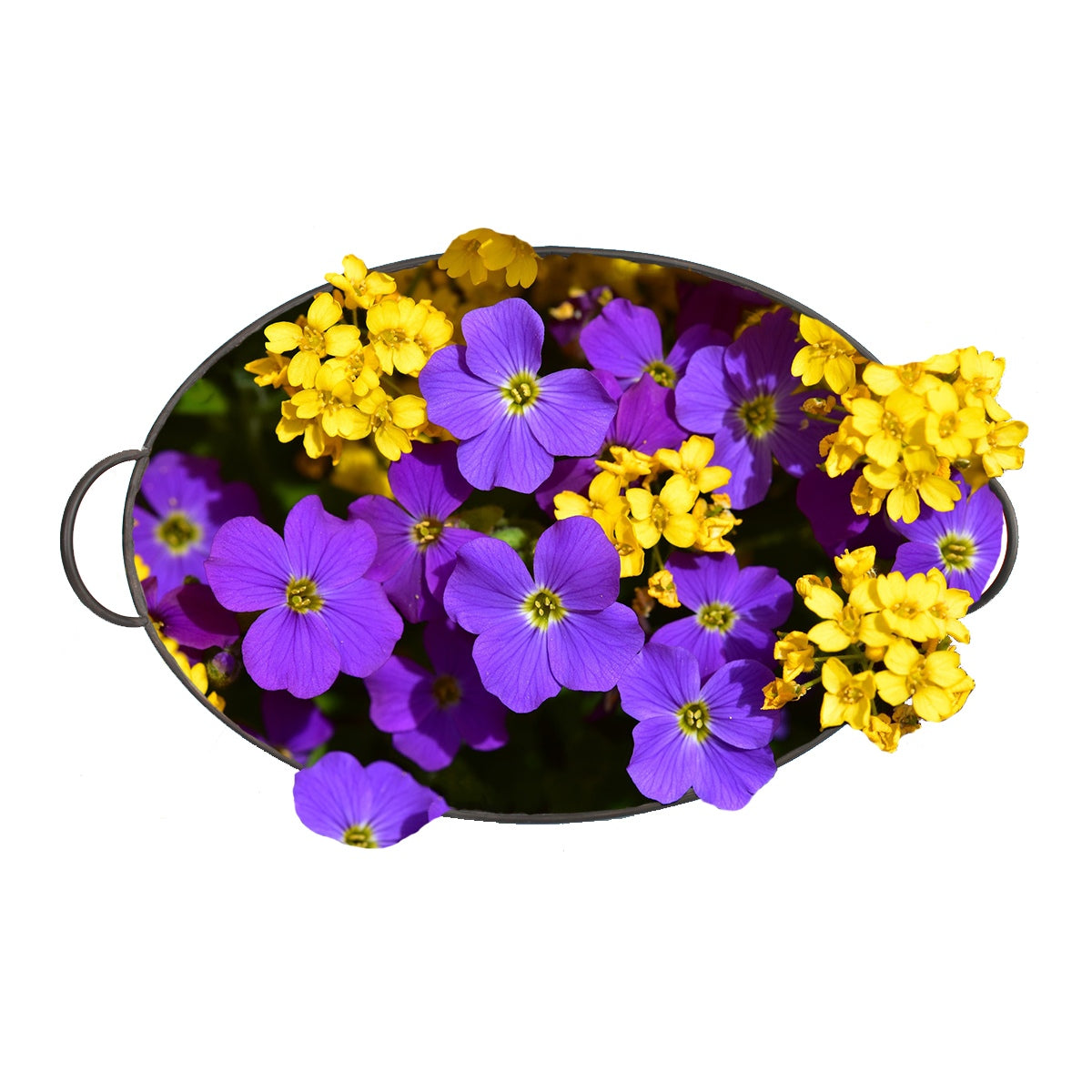 Pflanztopf Blumentopf 3er Set ovale Zinkwannen mit Blumenmuster und Handgriffen