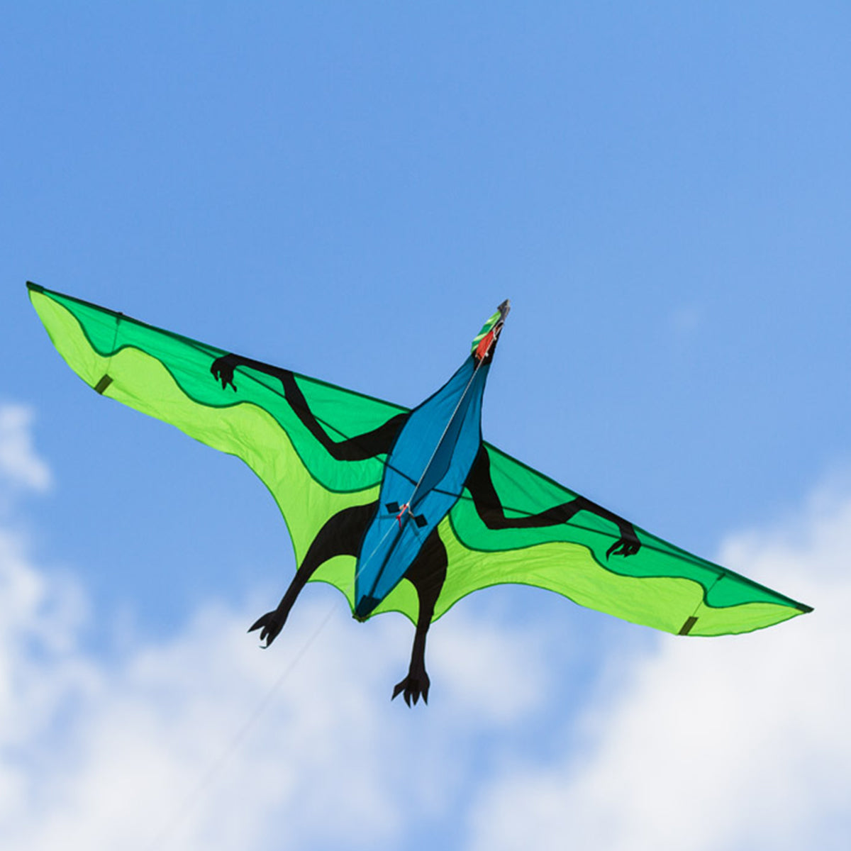 Kinderdrachen Einleiner Flying 3D Dinosaurier HQ Drachen