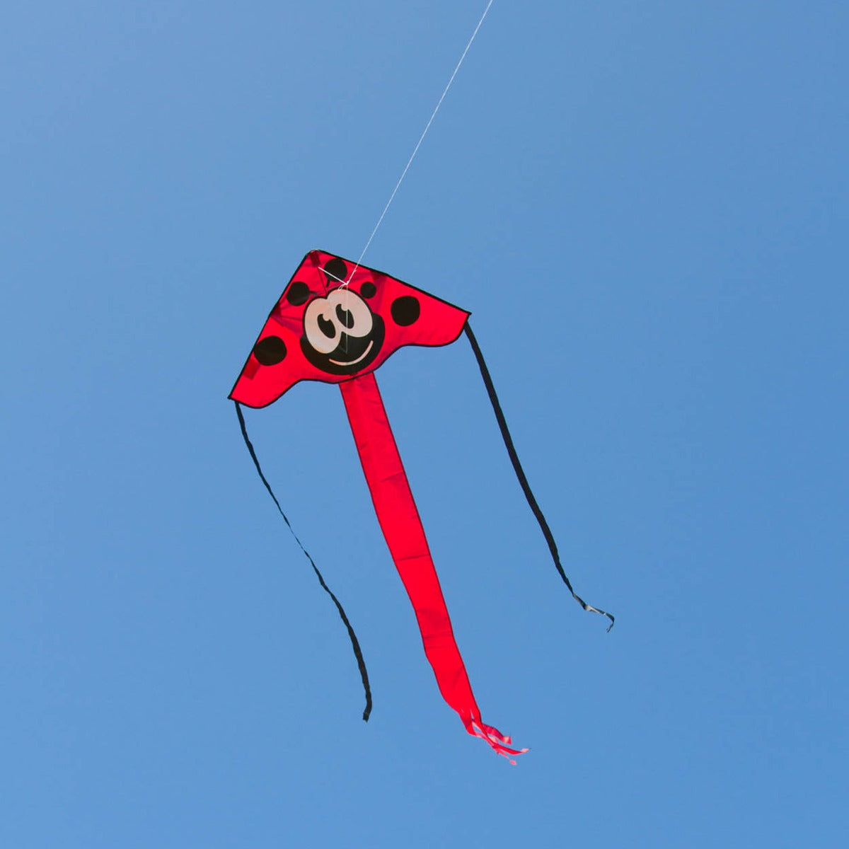 Kinderdrachen Einleiner Drachen HQ Simple Flyer Ladybug 85 cm Flugdrachen