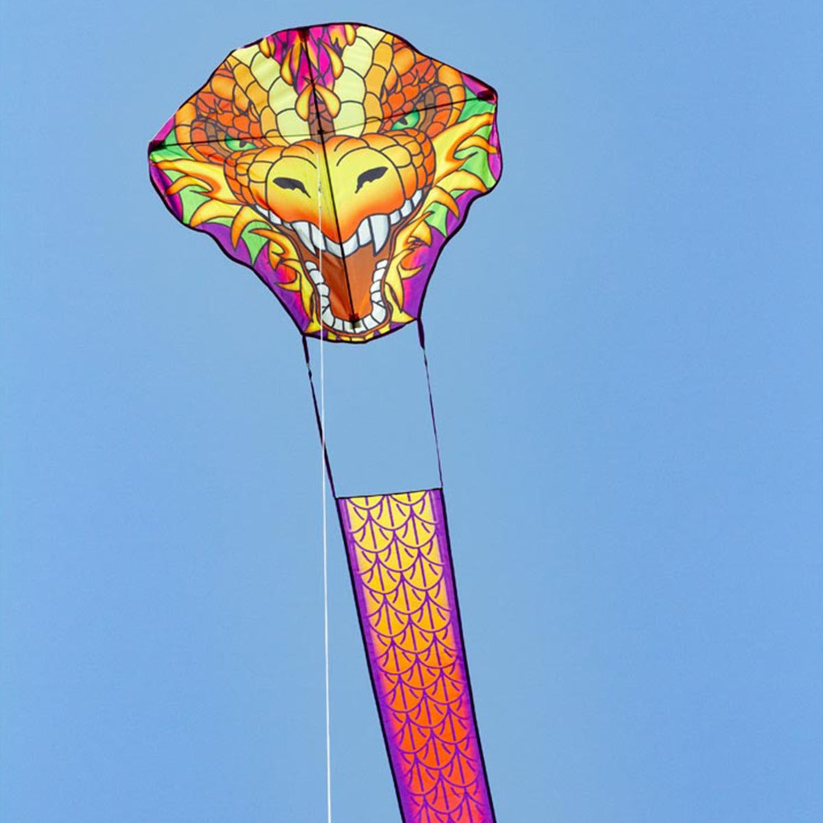 Kinderdrachen Einleiner Drachen HQ Dragonhead Kite 50 cm plus 950 cm Drachenschwanz Flugdrache