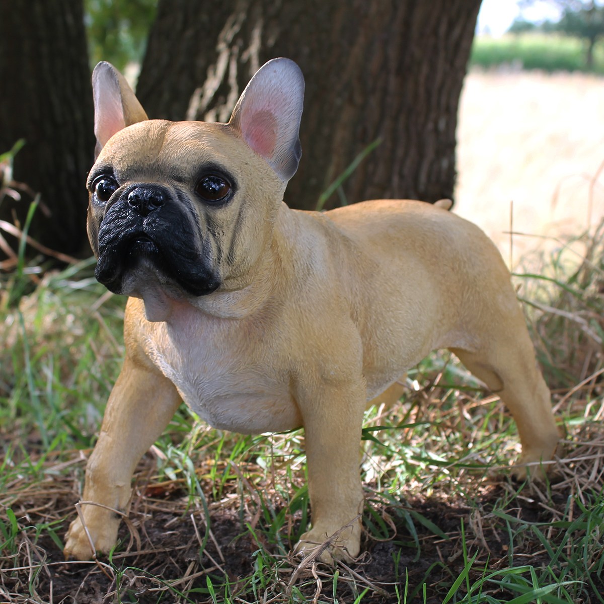 Hunde Figur Französische Bulldogge Figur stehend braun lebensechte Hundefigur