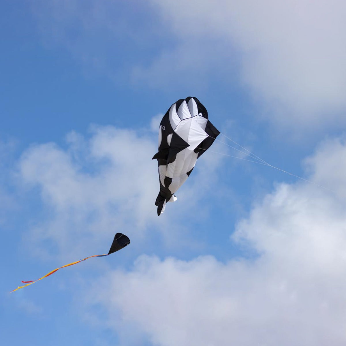Kinderdrachen Einleiner HQ Parafoil Kite Orca Drachen