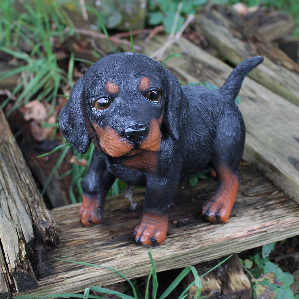 Hunde Figur Dackel Welpe stehend Dackel Figur Hundefigur