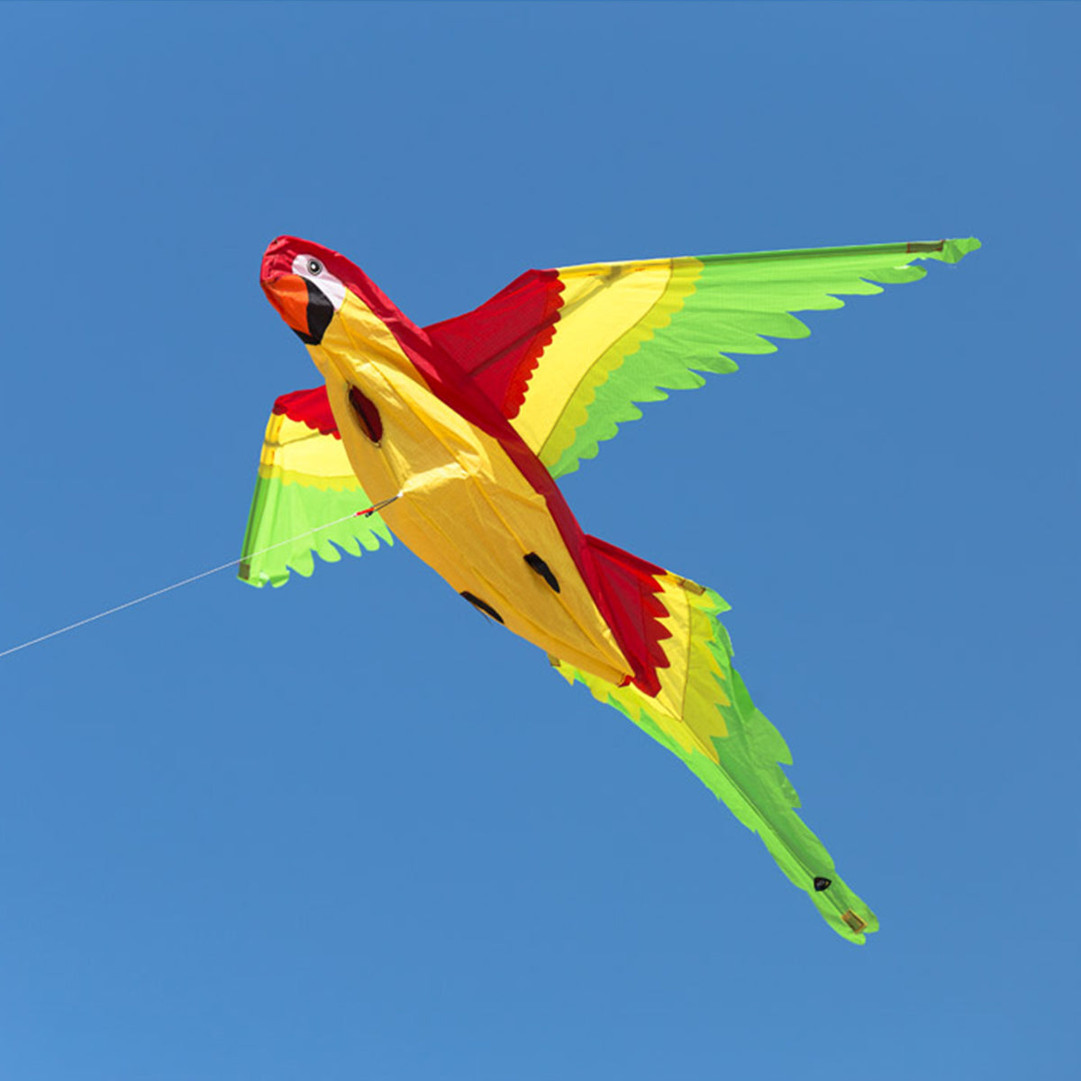 Kinderdrachen Einleiner Parrot 3D Papagei HQ Drachen