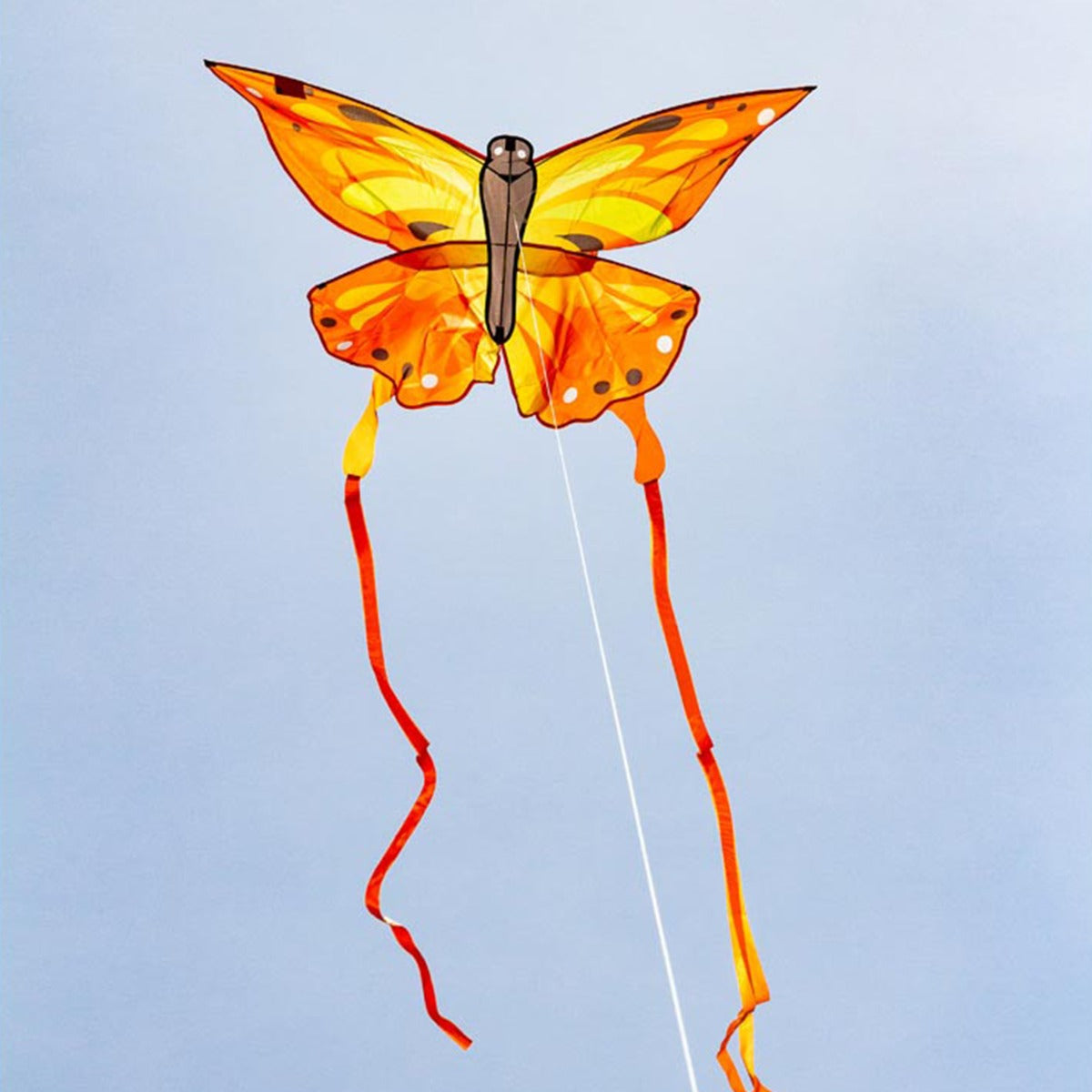 Kinderdrachen Einleiner Drachen HQ Butterfly Kite Sunrise Schmetterling Flugdrache