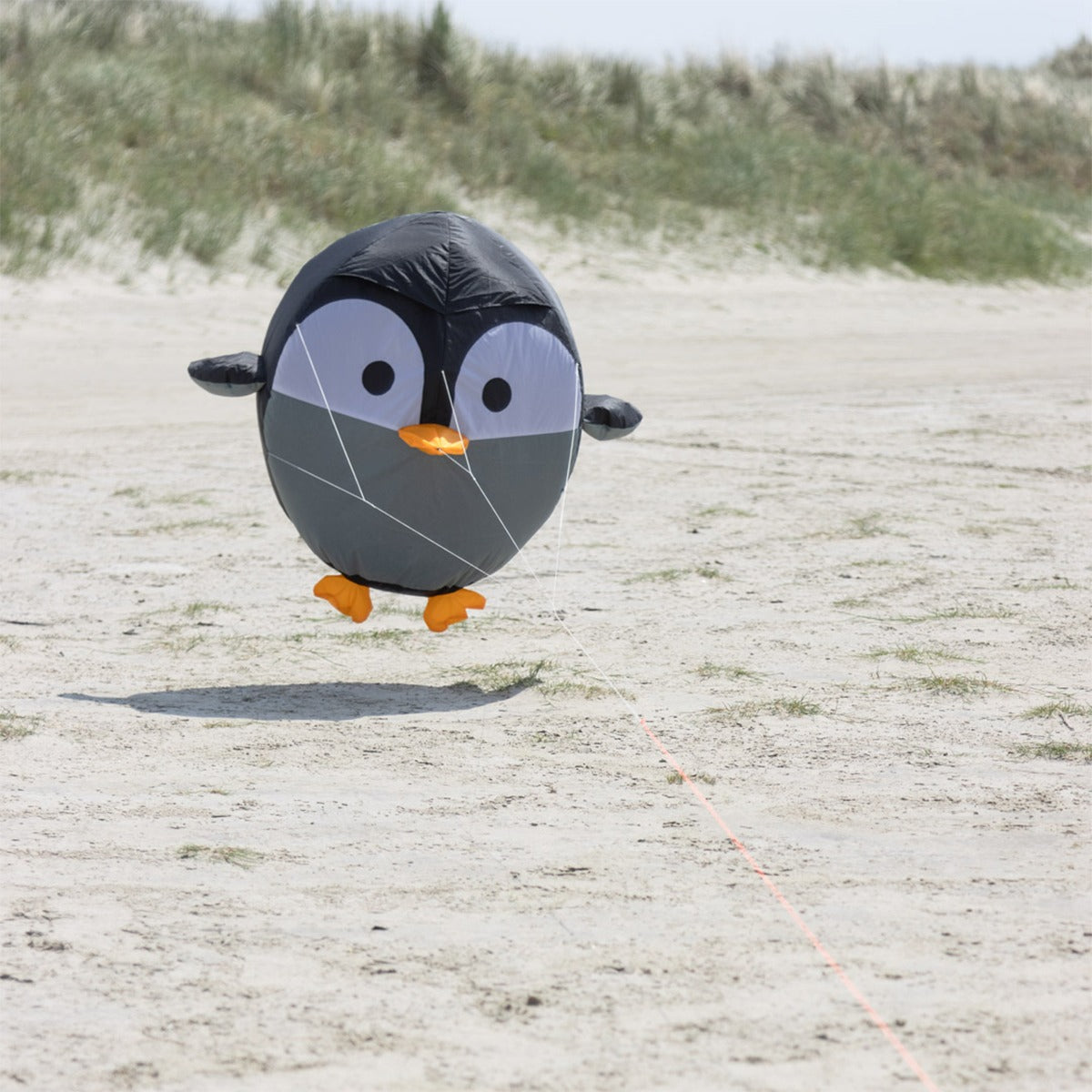 Bodenwindspiel HQ Bouncing Birdeez Penguin bunte Windspiele für den Garten oder Strand