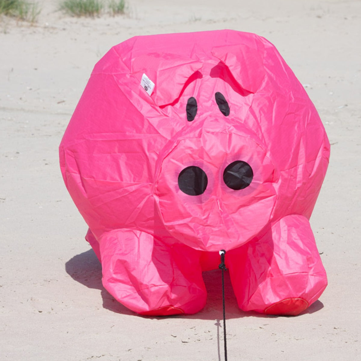 Bodenwindspiel HQ Bouncing Buddy "Porky" bunte Windspiele für den Garten oder Strand